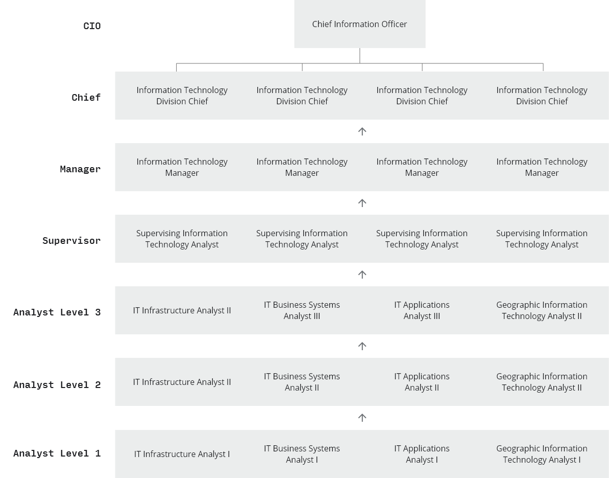 This chart displays the position pathways through DTech. Proceeding System Support Specialists, the Analysts classification progresses through Levels 1 through 3, then leads into Supervising IT Analyst, IT Manager, Division Chief, and Chief Information Officer.