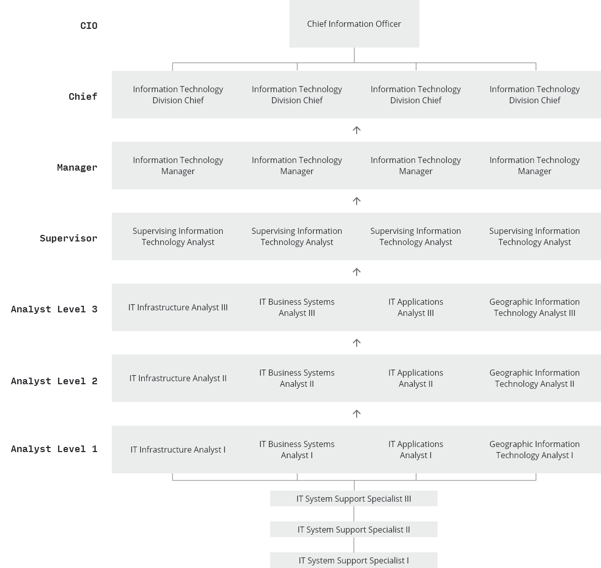 This chart displays the position pathways through DTech. Proceeding System Support Specialists, the Analysts classification progresses through Levels 1 through 3, then leads into Supervising IT Analyst, IT Manager, Division Chief, and Chief Information Officer.