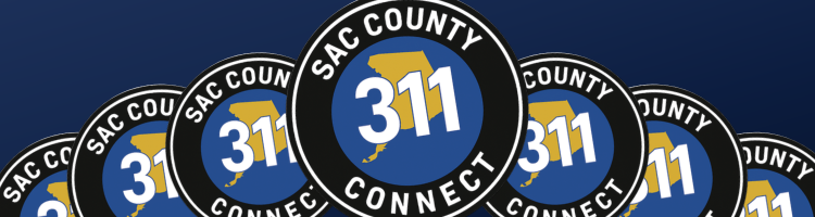 311 Connect